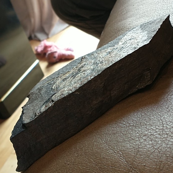 🇨🇦 Hand Painted Yorkie Garden Rock - Picture 3 of 4